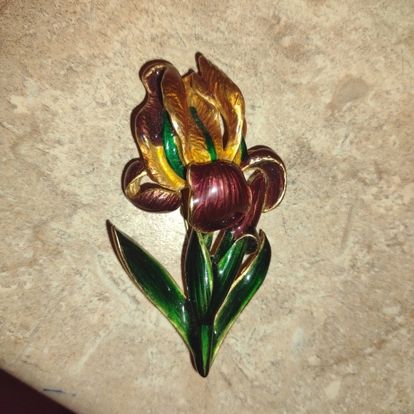 Boston MFA (Museum of Fine Arts) IRIS Enamel Brooch - Picture 3 of 13